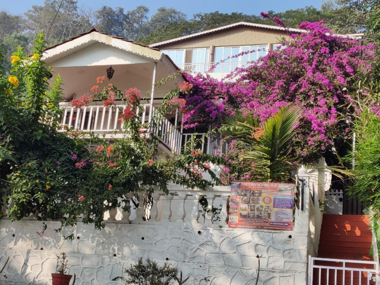 Whitehouse Homestay By Oxystays Hospitality Alībāg Dış mekan fotoğraf